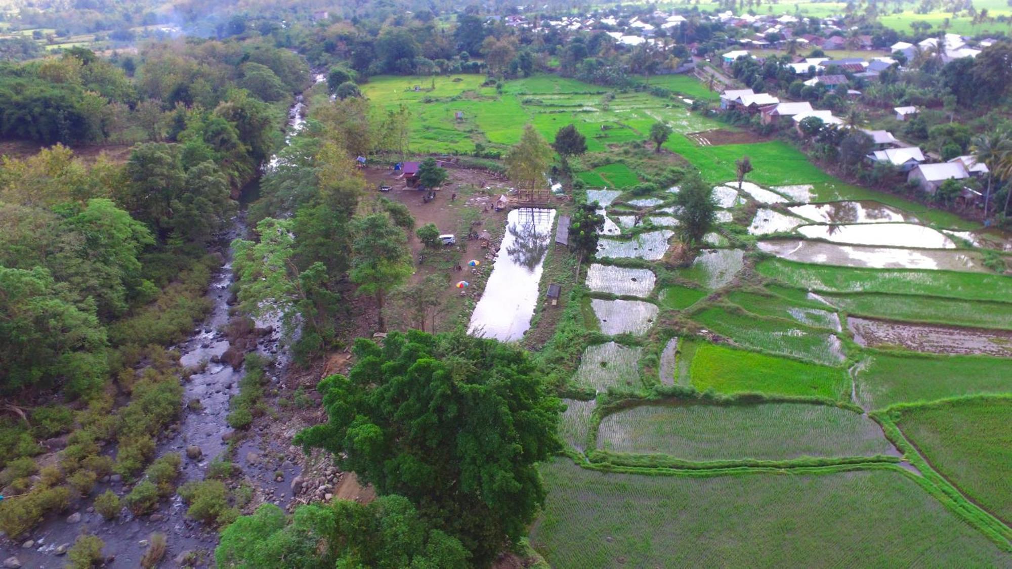 Tiu Batu Homestay Alas Ngoại thất bức ảnh