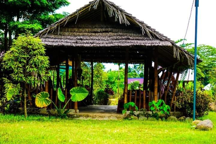 Tiu Batu Homestay Alas Ngoại thất bức ảnh