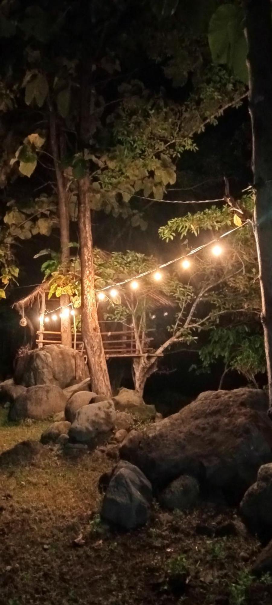 Tiu Batu Homestay Alas Ngoại thất bức ảnh